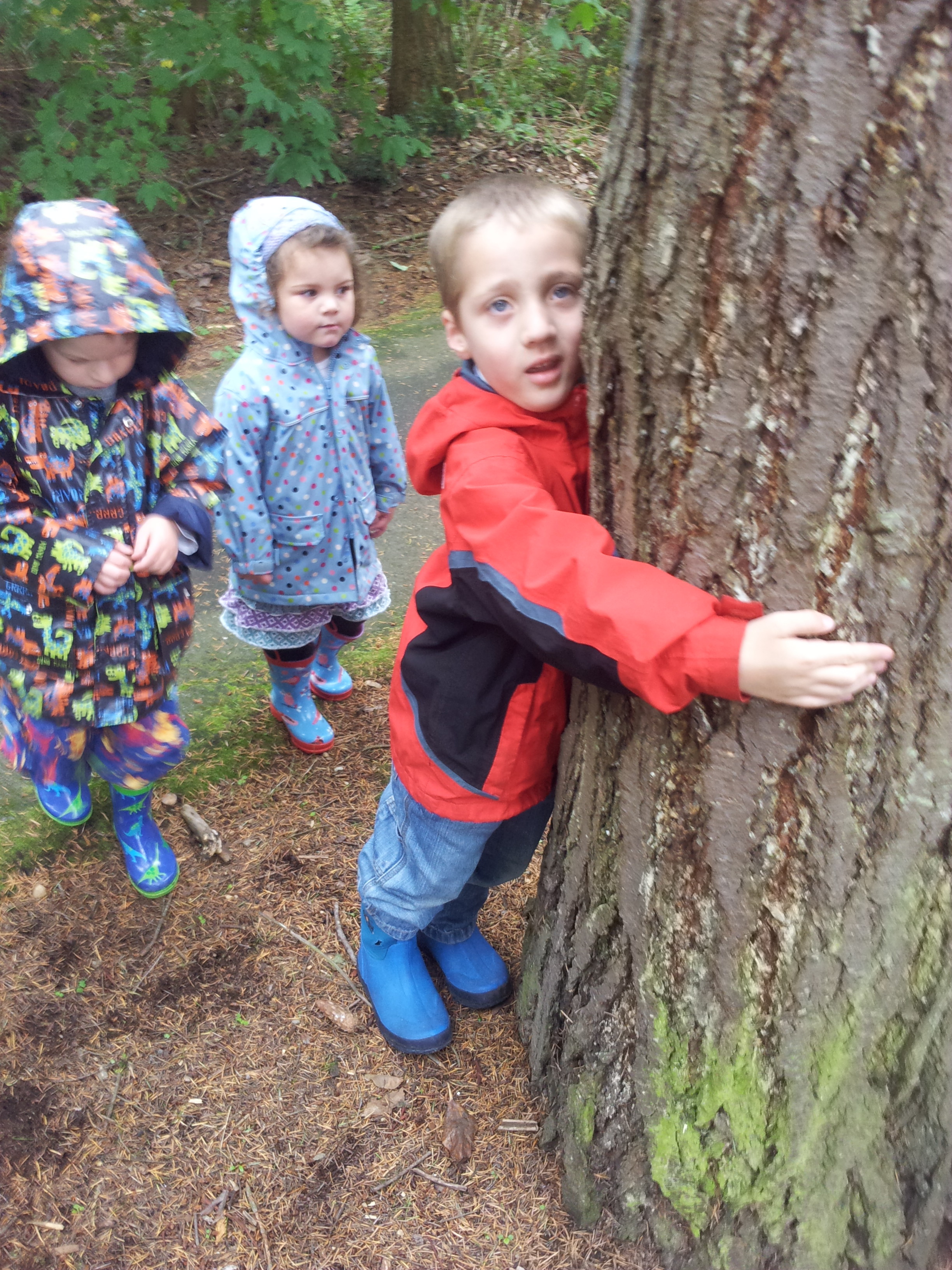 tree hugger preschool